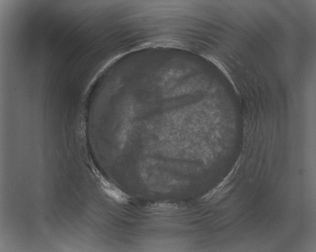 X0000073411115200608181048