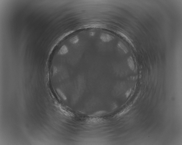 X0000073411117200608181048