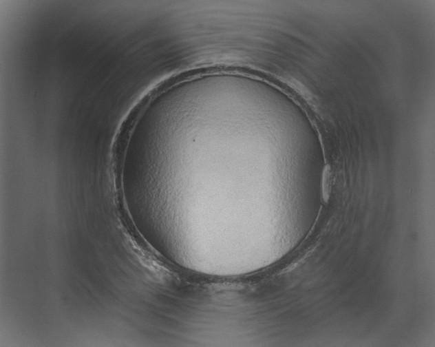 X0000073411118200608181048