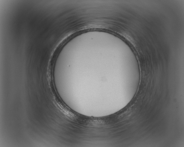 X0000073411119200608181048