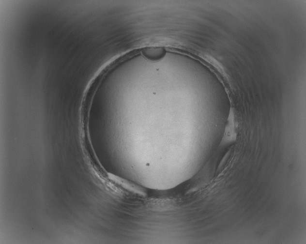 X0000073411120200608181048