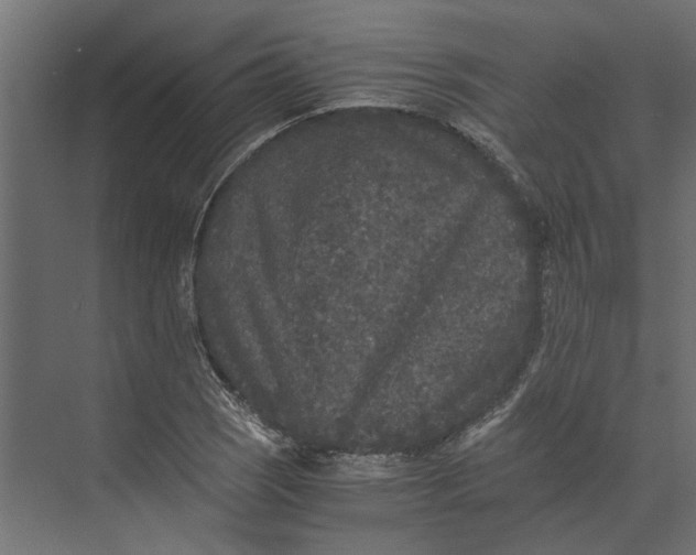 X0000073411121200608181048