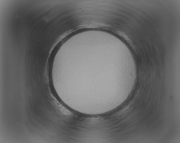 X0000073411122200608181048