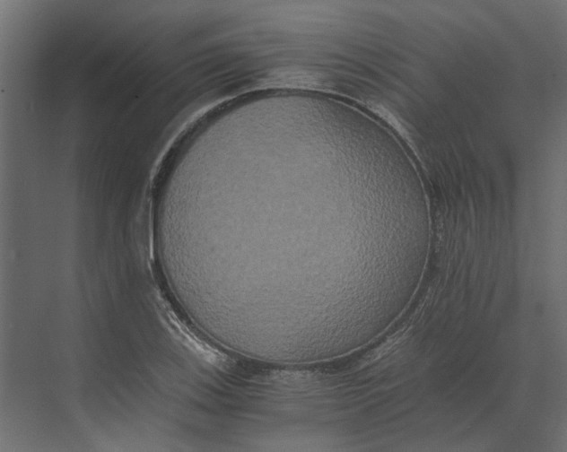 X0000073411123200608181048