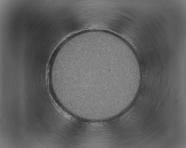 X0000073411126200608181048