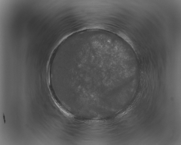 X0000073411127200608181048