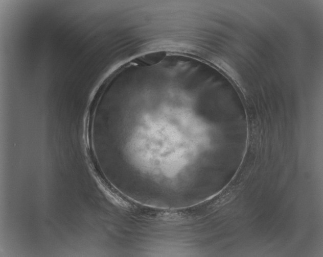 X0000073411128200608181048