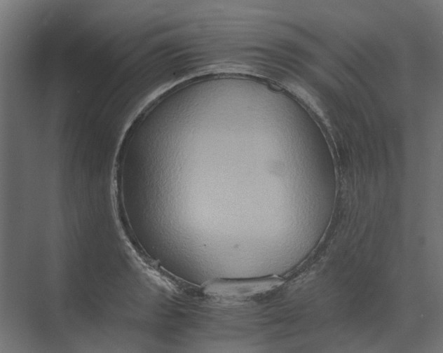 X0000073411133200608181048