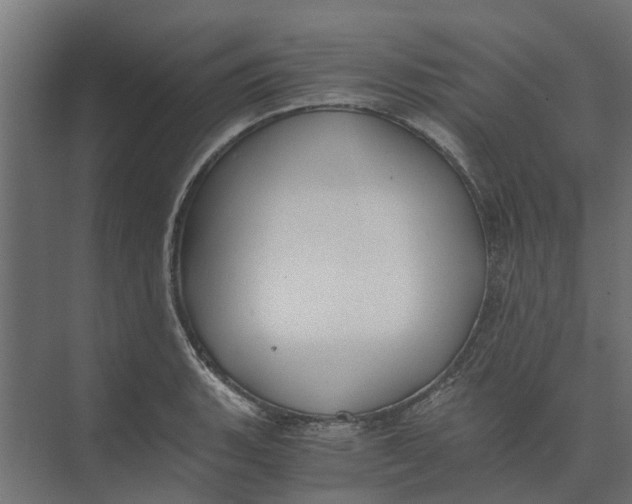 X0000073411135200608181048