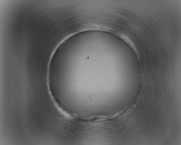 X0000073411136200608181048