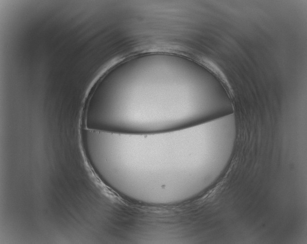 X0000073411138200608181048