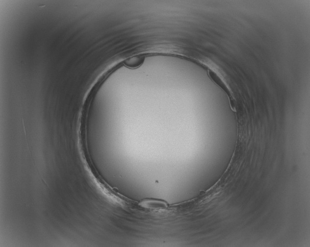 X0000073411139200608181048