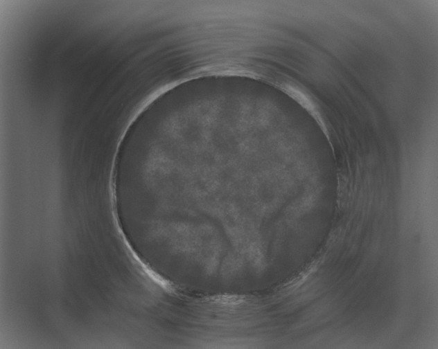 X0000073411141200608181048