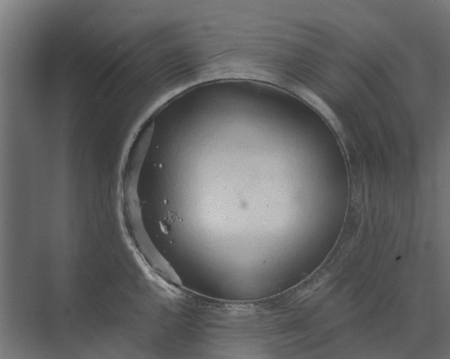 X0000073411144200608181048