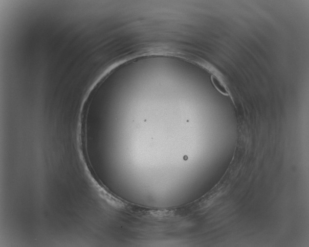 X0000073411147200608181048