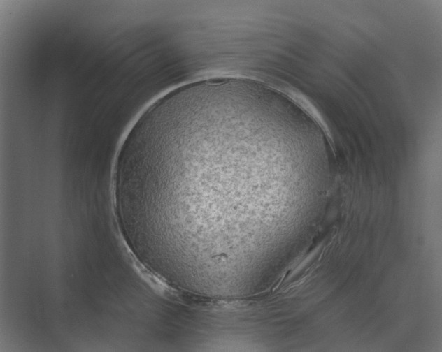 X0000073411148200608181048