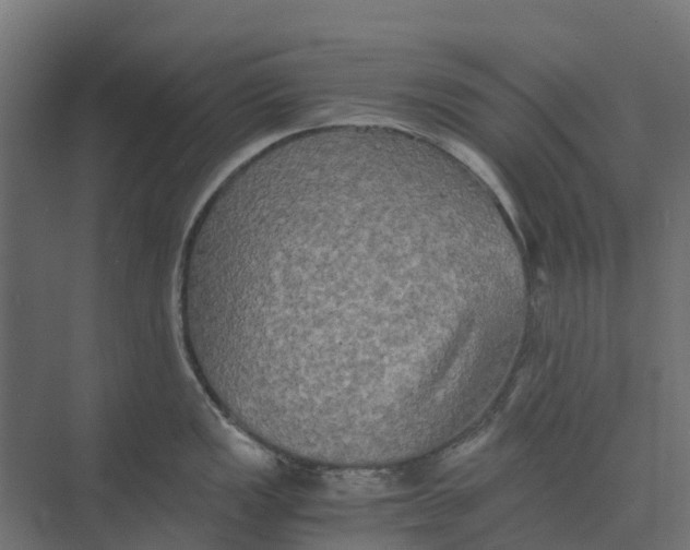 X0000073411149200608181048