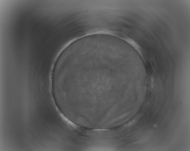 X0000073411151200608181048