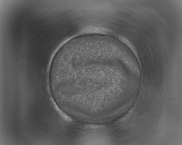 X0000073411152200608181049