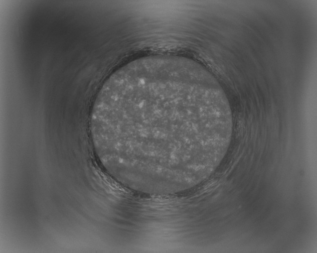 X0000073411153200608181048