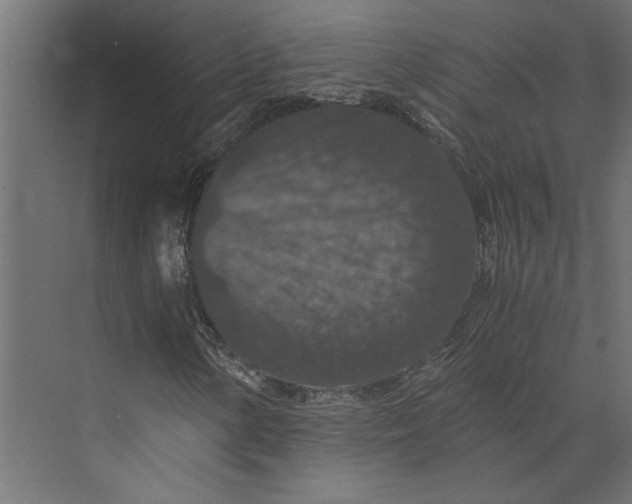 X0000073411154200608181048