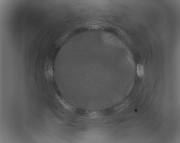 X0000073411155200608181048