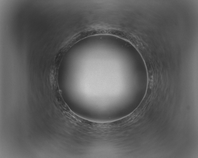 X0000073411157200608181048