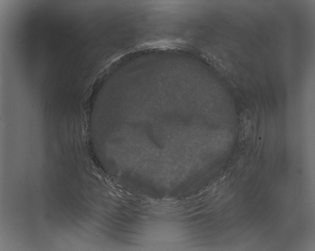 X0000073411158200608181048