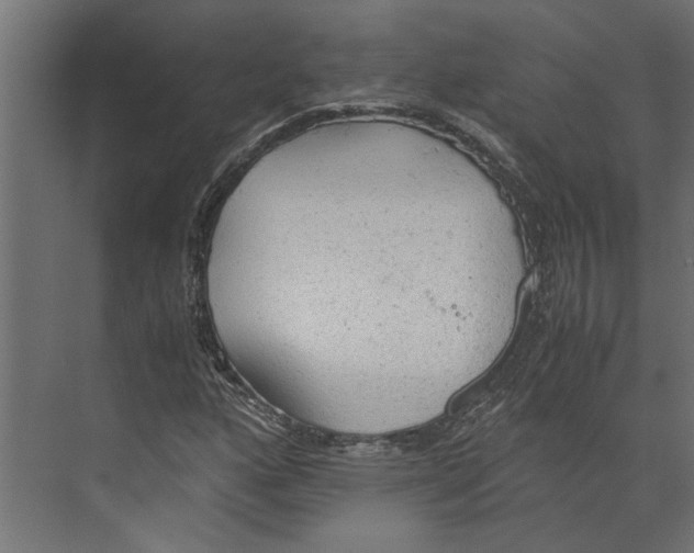 X0000073411160200608181048