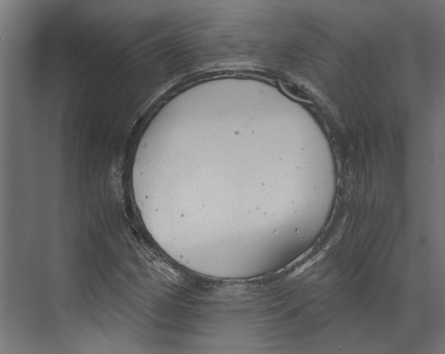 X0000073411162200608181048