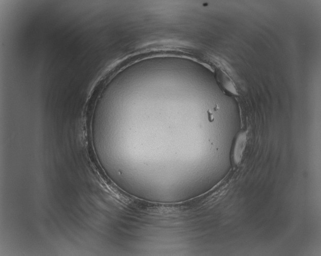 X0000073411164200608181048