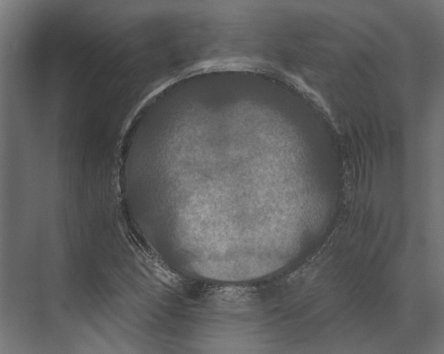 X0000073411166200608181047