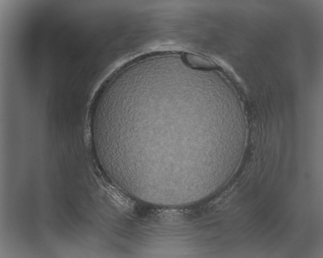 X0000073411167200608181047