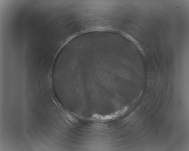 X0000073411170200608181047