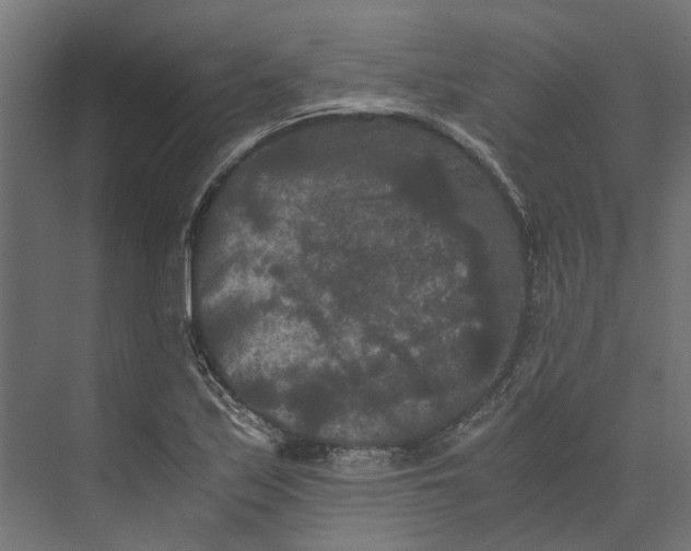 X0000073411171200608181047