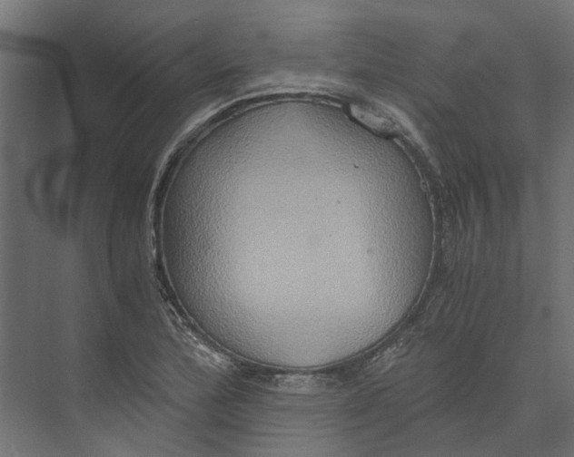 X0000073411172200608181047