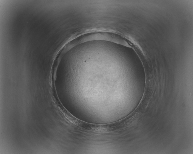 X0000073411173200608181047