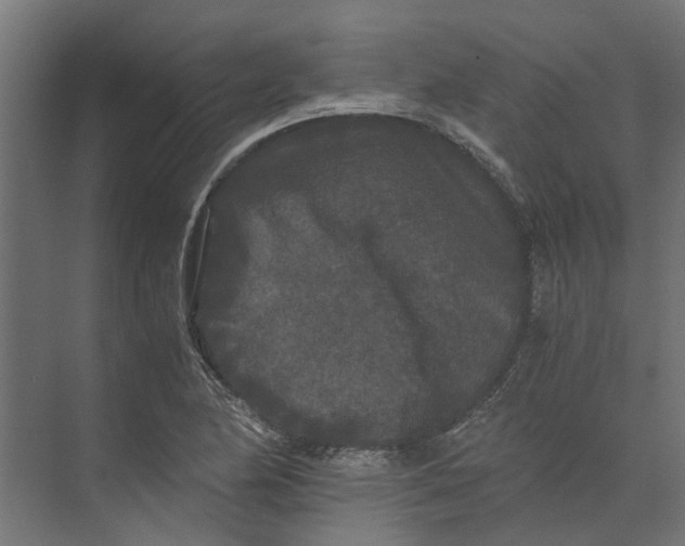 X0000073411174200608181047