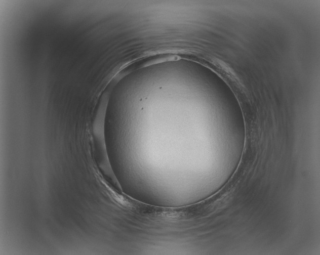 X0000073411177200608181047