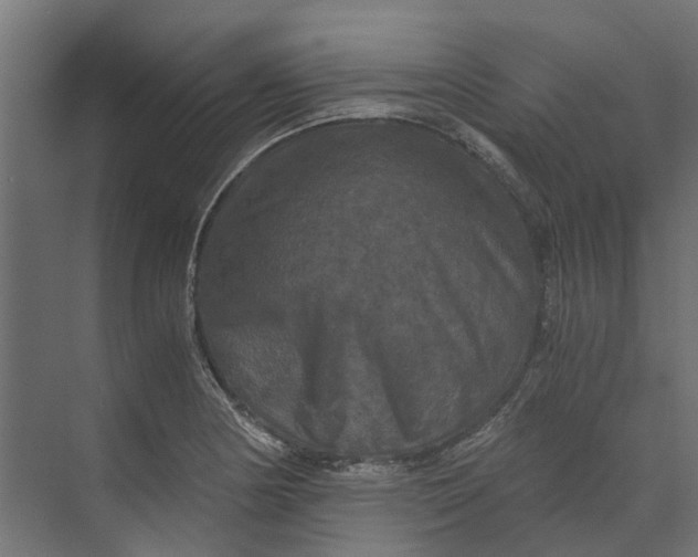 X0000073411178200608181047