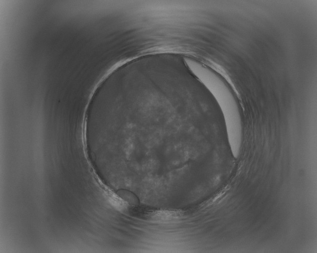 X0000073411179200608181047