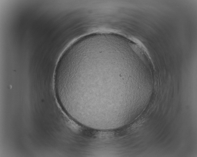 X0000073411183200608181047