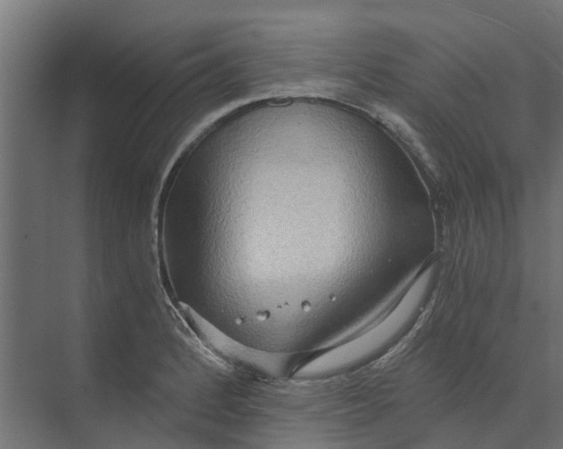 X0000073411184200608181047