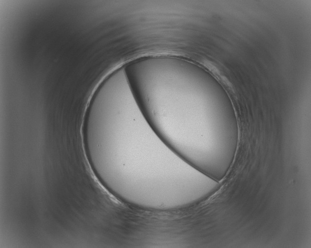 X0000073411189200608181047