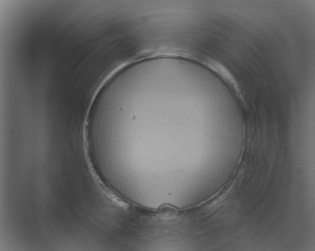 X0000073411190200608181047