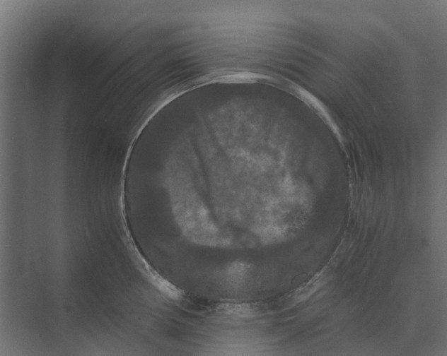 X0000073411194200608181047