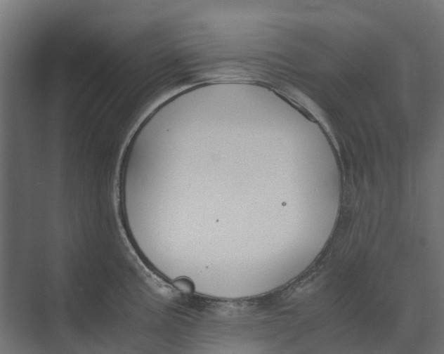 X0000073411195200608181047