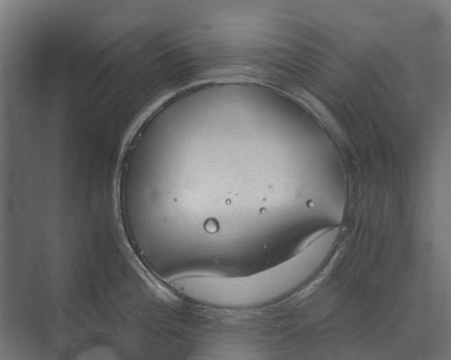 X0000073411196200608181047