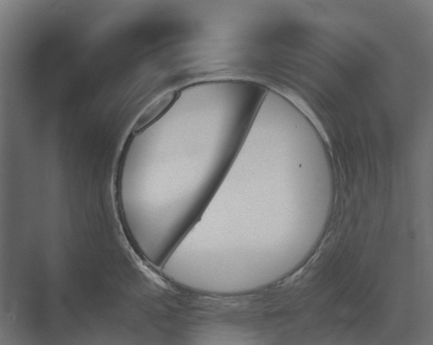 X0000073411197200608181047