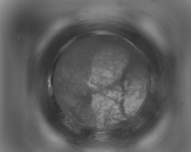 X0000073411198200608181047